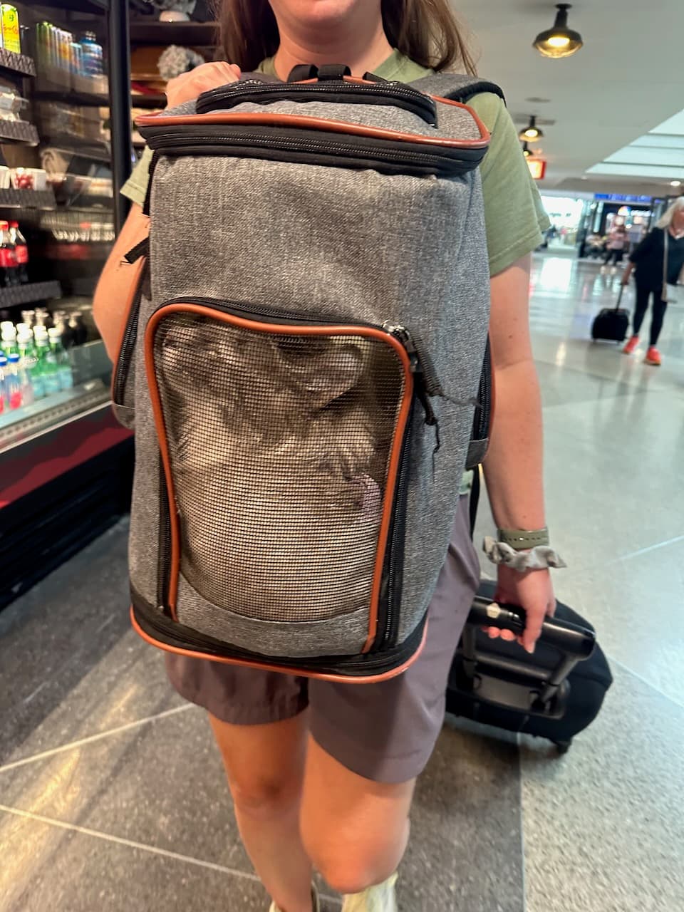 It took 3 flights to finally get Bluebell’s drug dosing just right