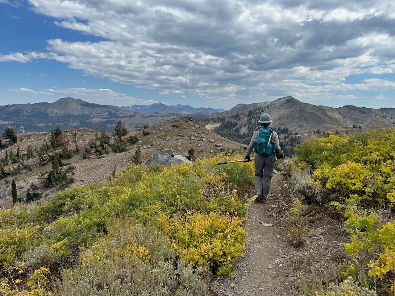 This was our favorite project day: lots of variety in the work and gorgeous views the whole day